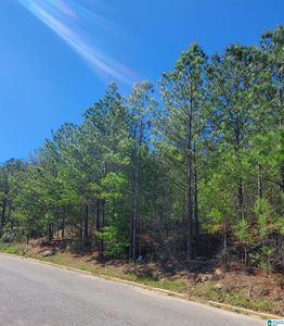5912 High Forest Dr #82, Mc Calla, AL, 35111