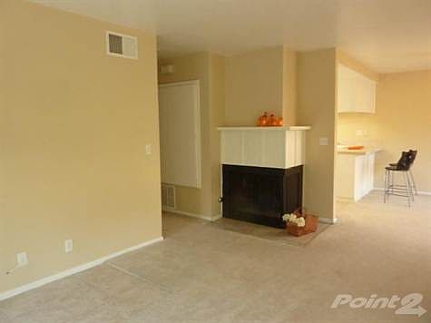 Impressive Open Plan