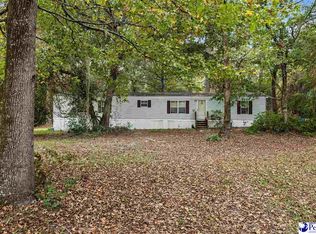 1068 Old River Rd, Fork, SC 29543