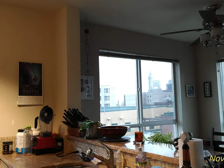 views from dining area