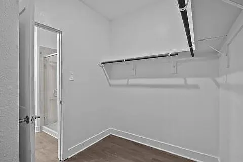 17322 Silver Birch Ct — Photo 22