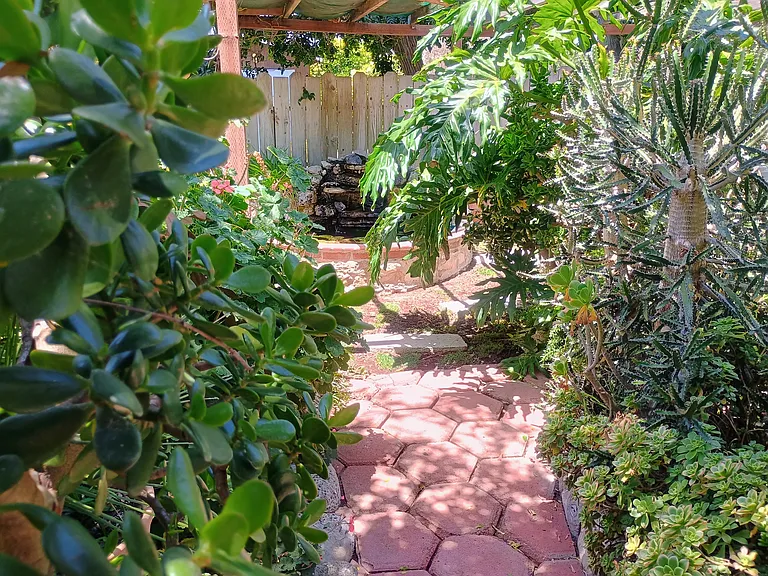 Front Garden Pond