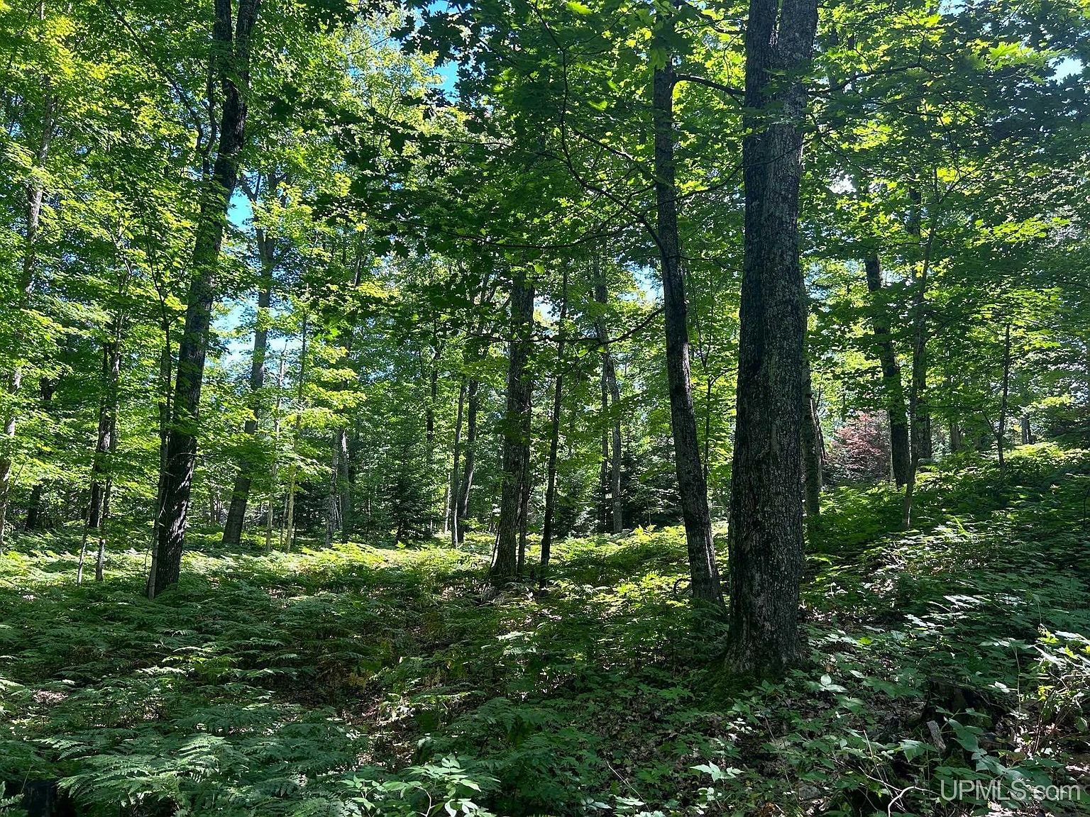 8 E County Rd 510, Negaunee, MI 49866 Zillow