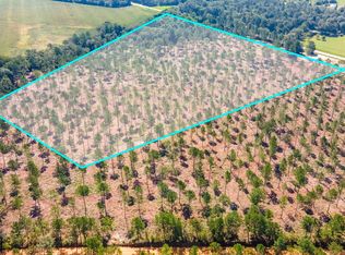 LOT 12 Camp Rawls Rd, Wagener, SC 29164