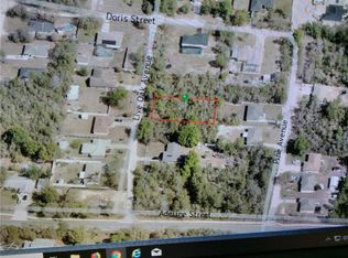 835 Live Oak Ave, Orange City, FL 32763