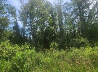 225 SE 2nd St, Georgetown, FL 32139