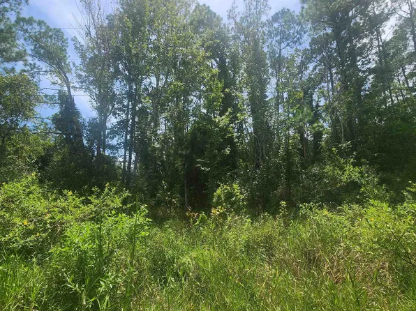 233 Rosewood St, Georgetown, FL 32139