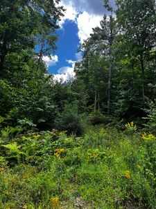 45 Apple Blossom Drive, Poland, ME, 04274