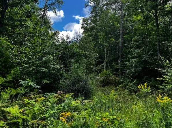 45 Apple Blossom Drive, Poland, ME 04274