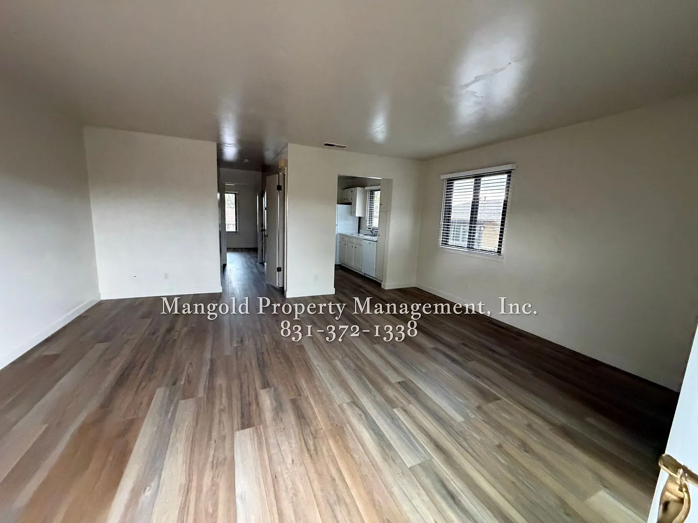 444dela — Photo 4
