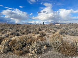 62 Acciari Rd, Smith, NV 89430