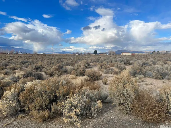 62 Acciari Rd, Smith, NV 89430