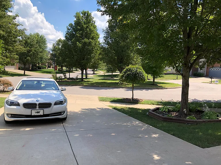 605 Verbena Cv — Photo 19