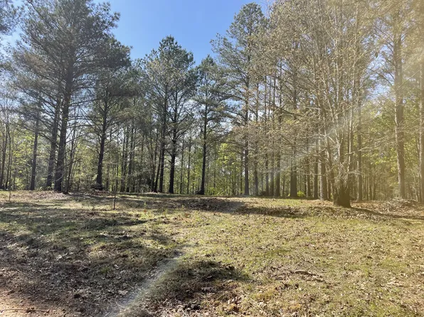 1001 Bj Rd, Centerville, TN 37033