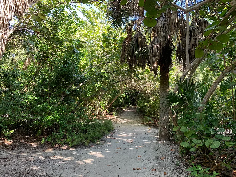 983 Black Skimmer Way — Photo 20