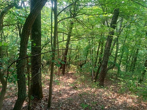 3rd image of 1227 Hilton Dr