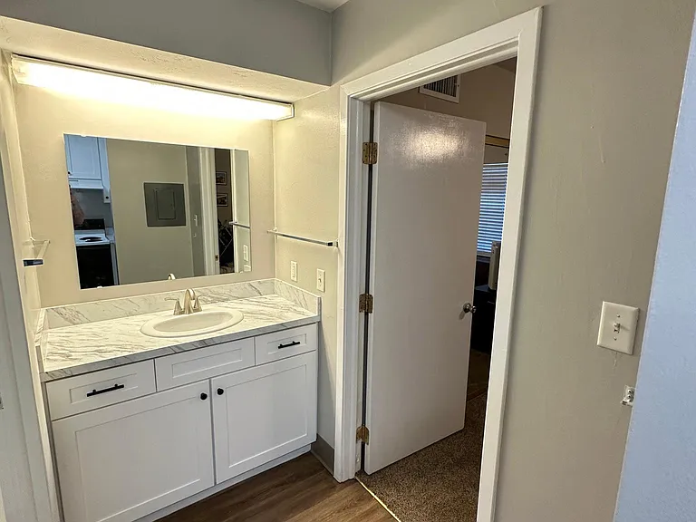 1225 S Gadsden St #3 — Photo 10