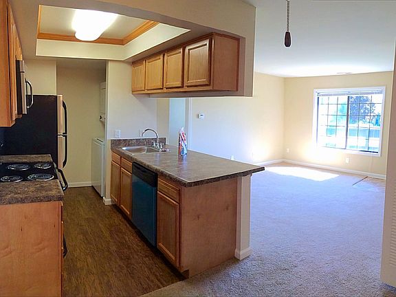 New Stainless Steel Appliances!