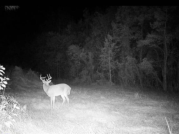 2nd image of 0 Sanderling Rd