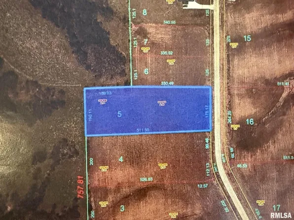 2460 Olof Krans Ave, Galva, IL 61434