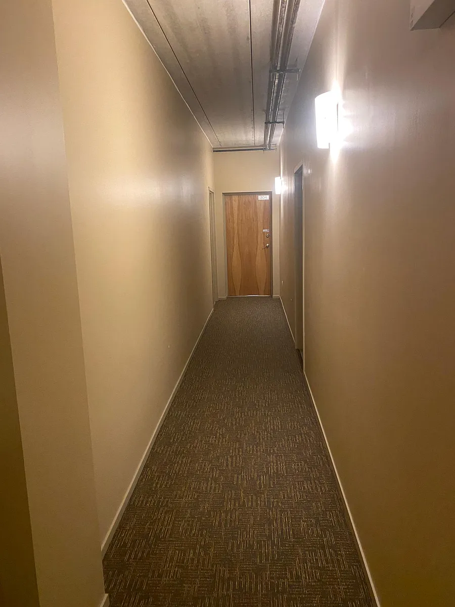 Hallway to unit - 1430 S Michigan Ave #305