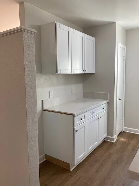 2 bed, 1000 sqft, $2,600 — Photo 4
