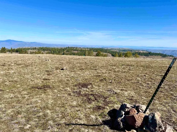 Pilgrim Ridge Rd Lot 36, White Bird, ID 83554