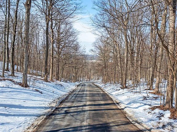 2nd image of 0 Eaglenest Rd