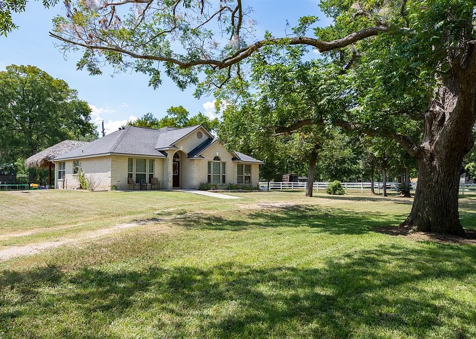 Yes, that is a pecan tree in your front yard! Pecan pie anyone?