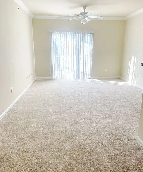 Clairmont at Hillandale — Photo 133