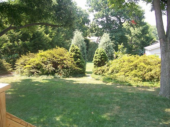First part of backyard