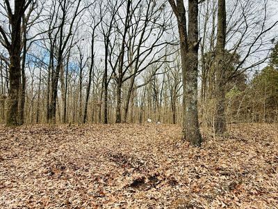 8 County Road 160 #63, Jonesboro, AR, 72404