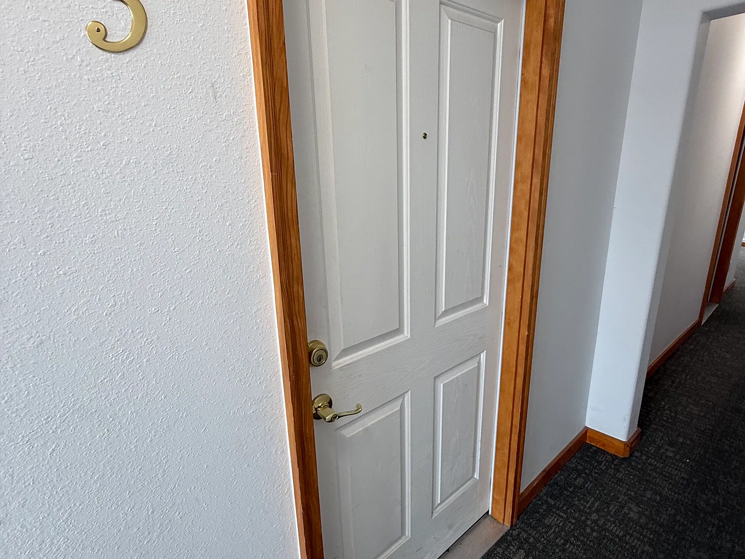 Studio, $980 — Photo 3