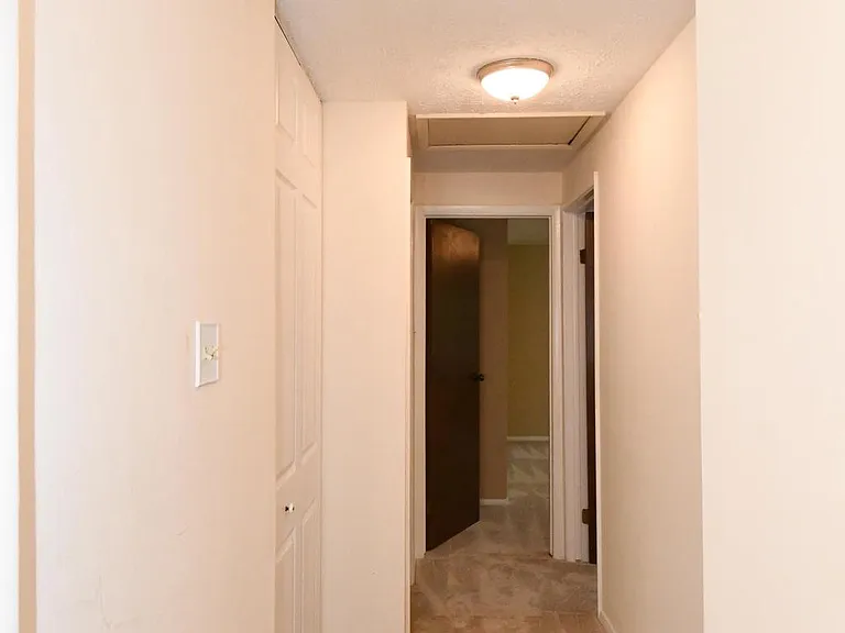 8017 Diving Cliff Ln — Photo 18