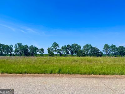 36 Crabapple Dr, Hawkinsville, GA, 31036