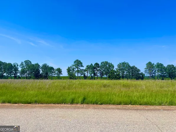 36 Crabapple Dr, Hawkinsville, GA 31036