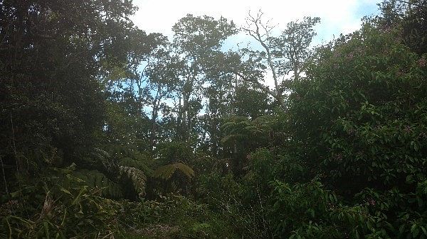 1st image of Kekoanui St Lot 48