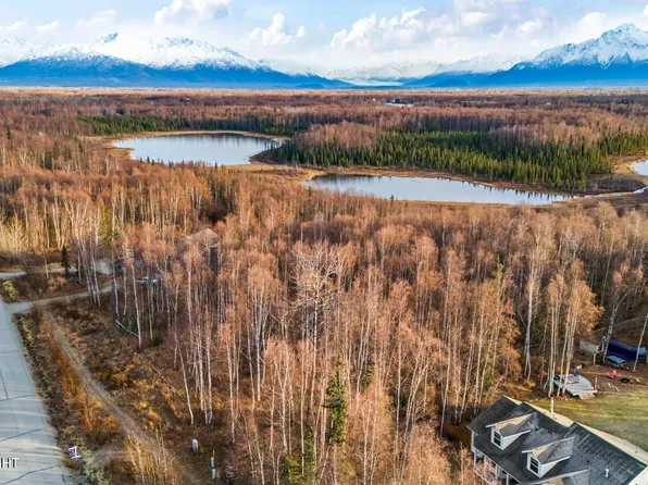 6121 N Talgach View Dr, Wasilla, AK 99654