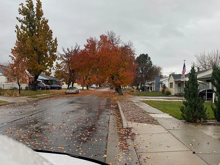 Down the street view
