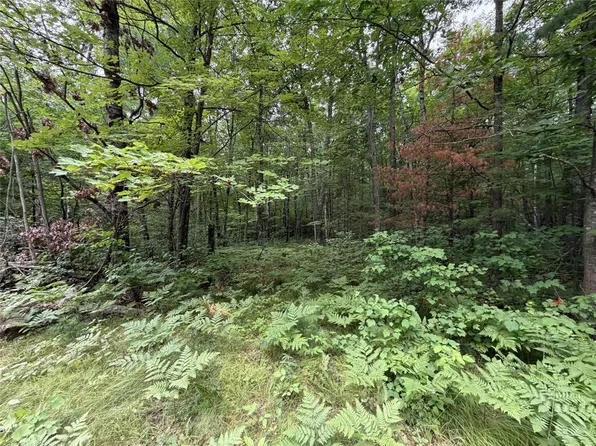 Lot 1 Nor Wis Road, Hayward, WI 54843