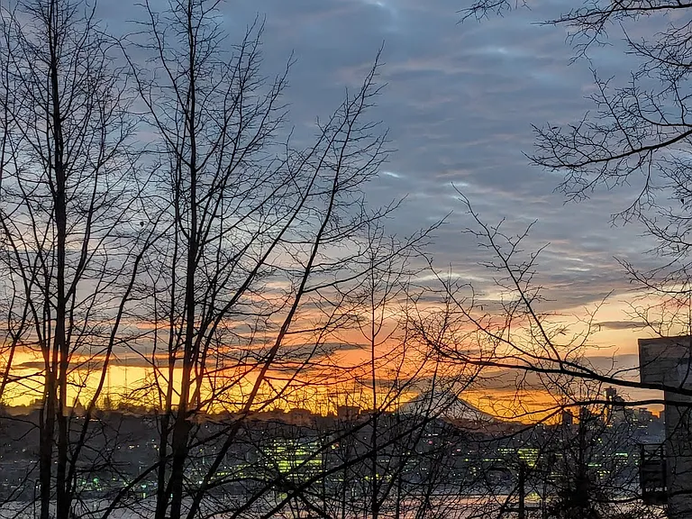 Winter view of Lake Union and Mount Rainier