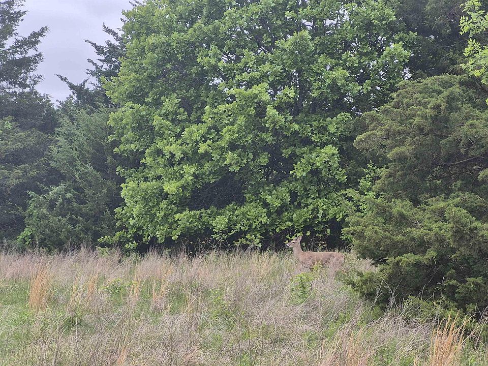 2nd image of 26482 N Highway 65