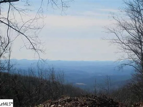 20 Falling Star Way, Landrum, SC 29356