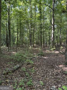 0 Beaverdam Rd, Winterville, GA, 30683