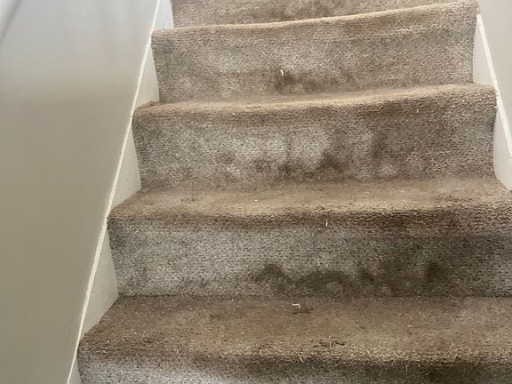 5th image of 45 Saratoga St #45