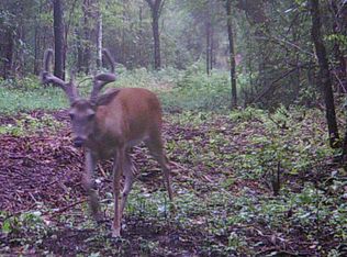 2183 Coleman Hill Rd, Rockvale, TN 37153