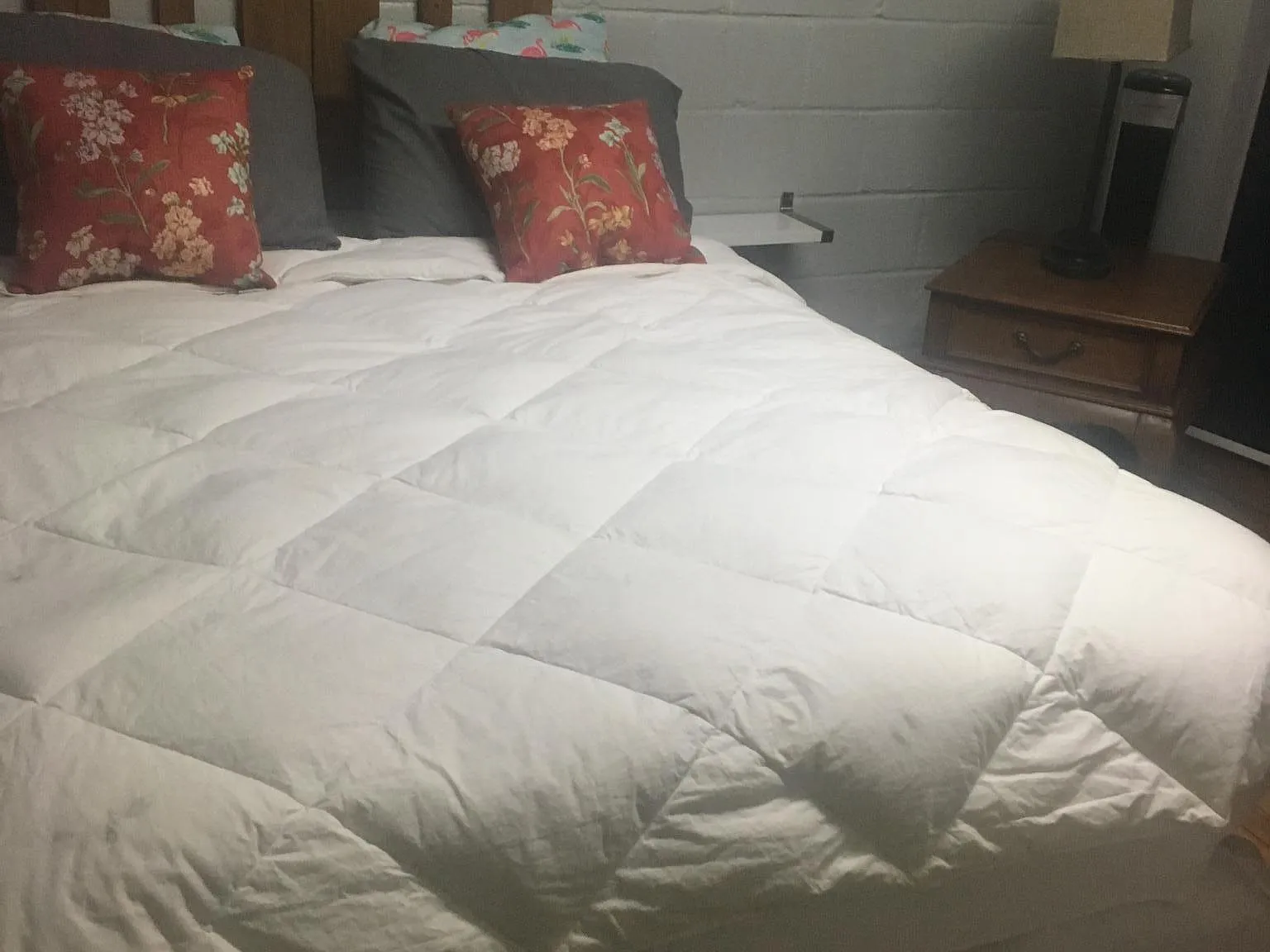 1 bed, 700 sqft, $900 — Photo 3
