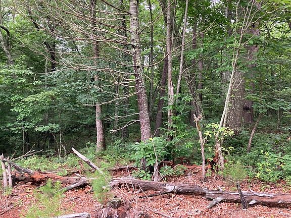 4th image of 0 Mouse Creek Trl