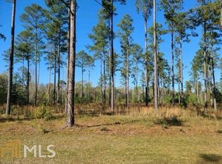 0 Brannen Lake Rd, Statesboro, GA 30458
