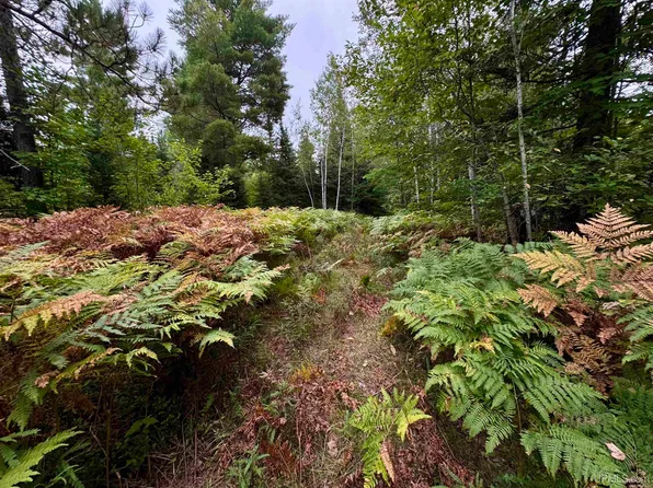 40 Acres Off County Rd, Co Ishpeming, MI 49849